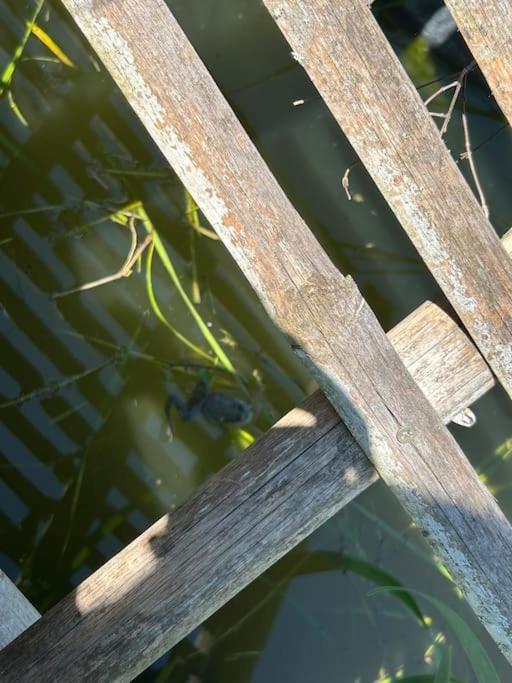 Un Havre De Paix Au Perigord Villa Anlhiac Exterior foto